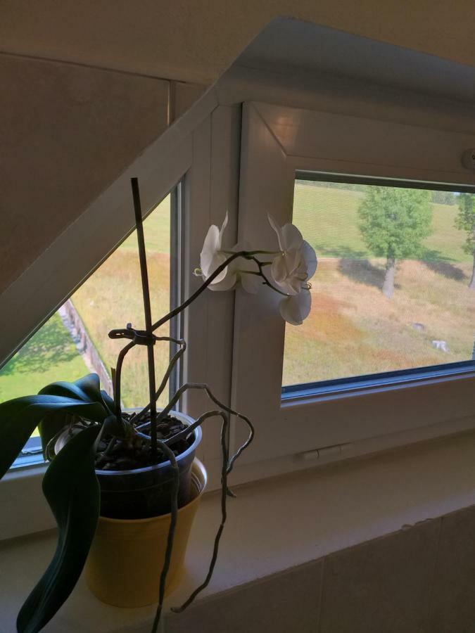 U Pohody Hotel Kovářská Екстериор снимка